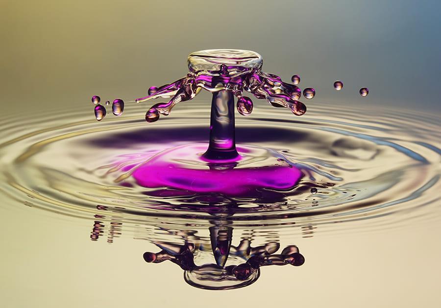 39f664cb5eb20220b5cabd09720f53fa