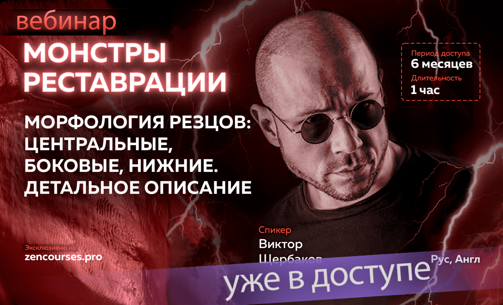 Монстры реставрации. Морфология резцов: центральные, боковые, нижние