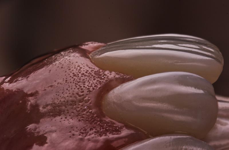 87396a6b57ec62ed60af9ef842338143