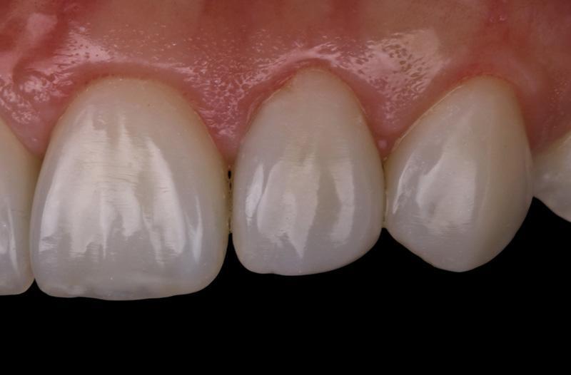 961fac6a82481a72ad87b3d8d3e4ab89